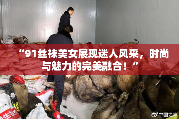 “91丝袜美女展现迷人风采，时尚与魅力的完美融合！”