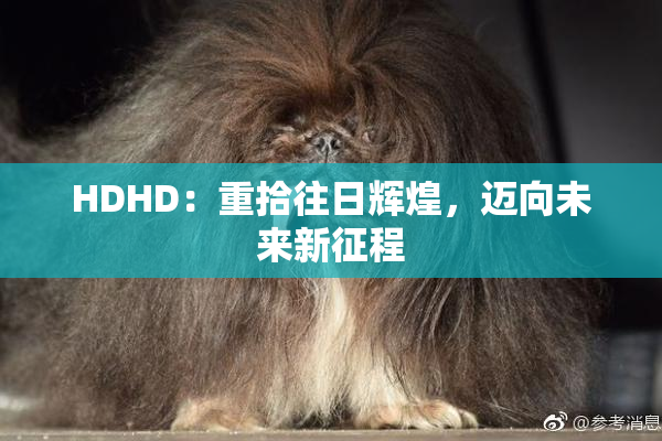 HDHD：重拾往日辉煌，迈向未来新征程
