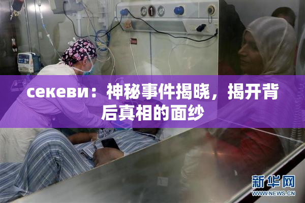 ceкеви：神秘事件揭晓，揭开背后真相的面纱
