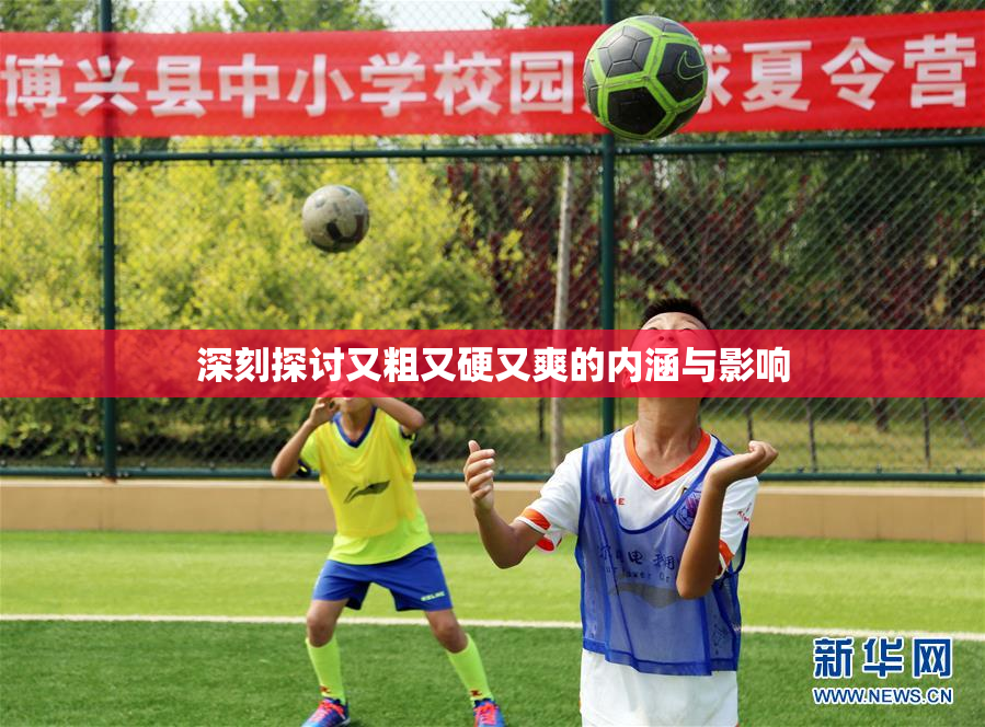 深刻探讨又粗又硬又爽的内涵与影响
