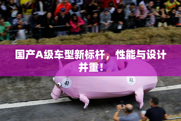 国产A级车型新标杆，性能与设计并重！