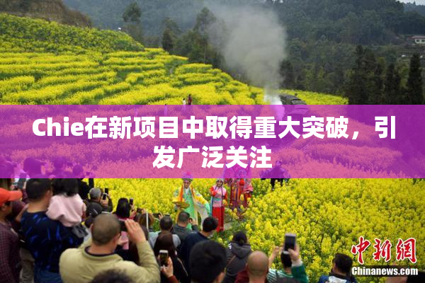 Chie在新项目中取得重大突破，引发广泛关注