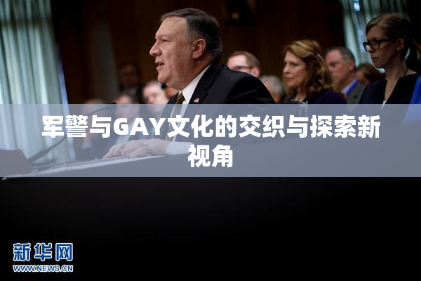 军警与GAY文化的交织与探索新视角