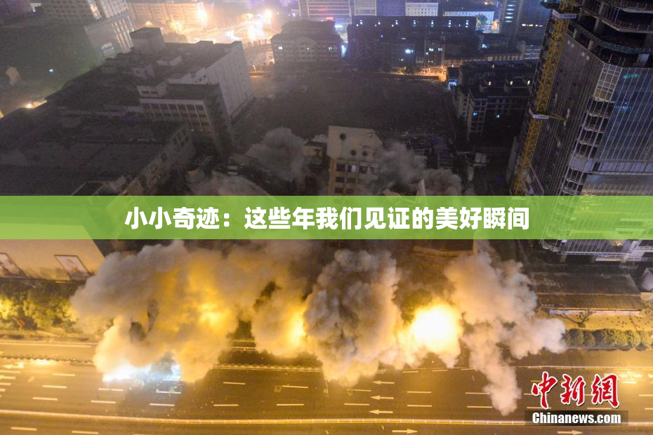 小小奇迹：这些年我们见证的美好瞬间