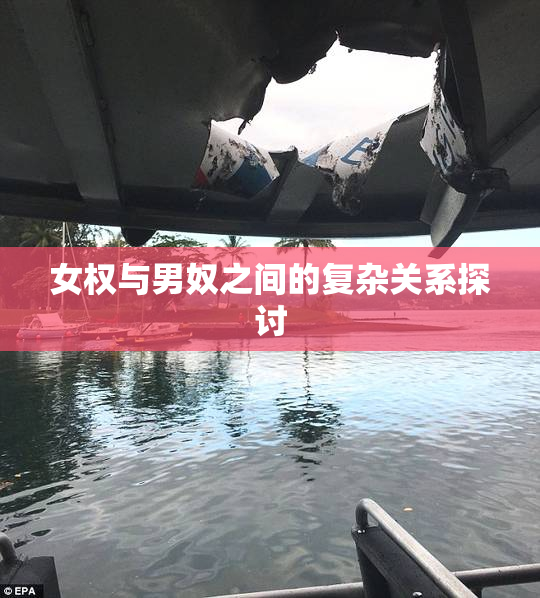 女权与男奴之间的复杂关系探讨