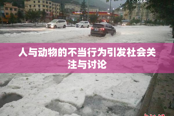 人与动物的不当行为引发社会关注与讨论