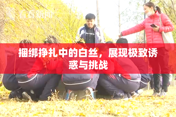 捆绑挣扎中的白丝，展现极致诱惑与挑战