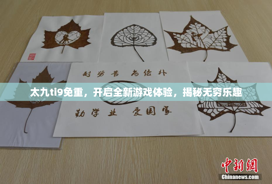 太九ti9免重，开启全新游戏体验，揭秘无穷乐趣