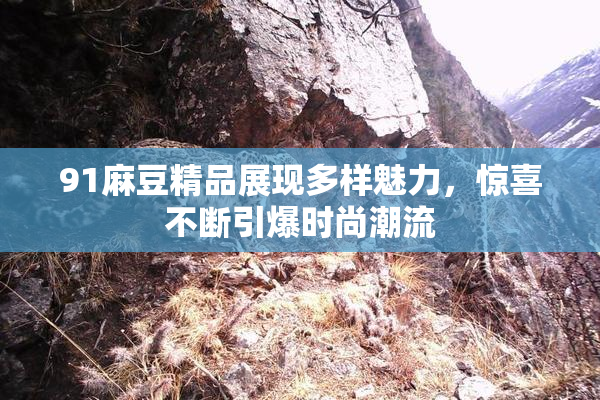 91麻豆精品展现多样魅力，惊喜不断引爆时尚潮流