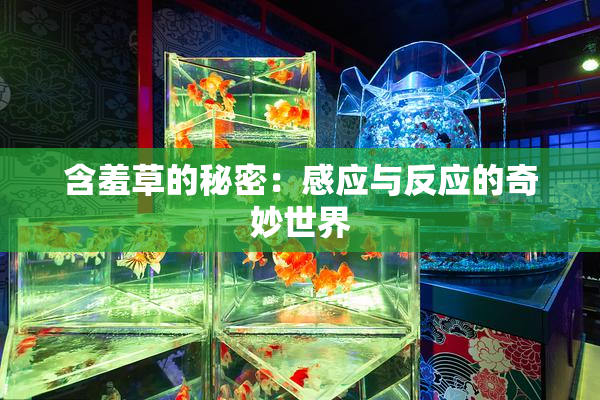 含羞草的秘密：感应与反应的奇妙世界