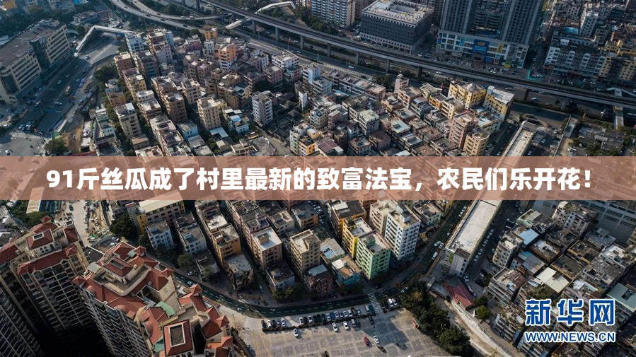 91斤丝瓜成了村里最新的致富法宝，农民们乐开花！