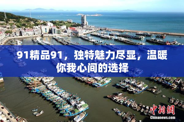 91精品91，独特魅力尽显，温暖你我心间的选择