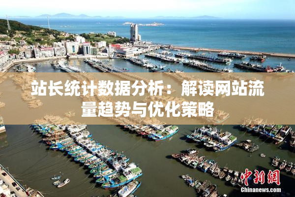 站长统计数据分析：解读网站流量趋势与优化策略