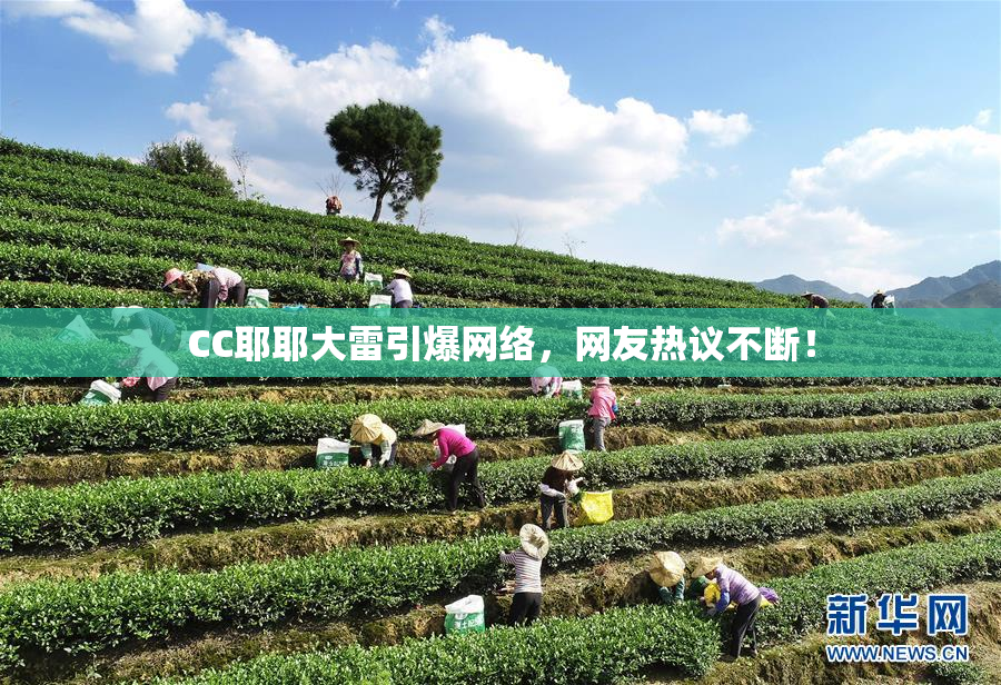 CC耶耶大雷引爆网络，网友热议不断！