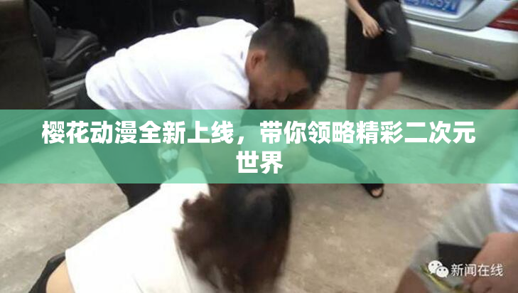 樱花动漫全新上线，带你领略精彩二次元世界