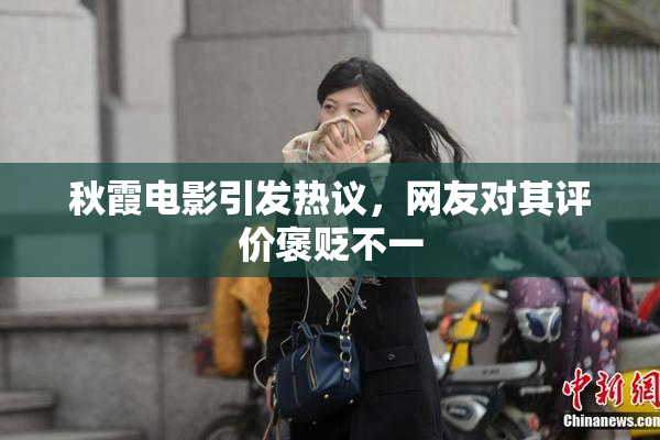 秋霞电影引发热议，网友对其评价褒贬不一
