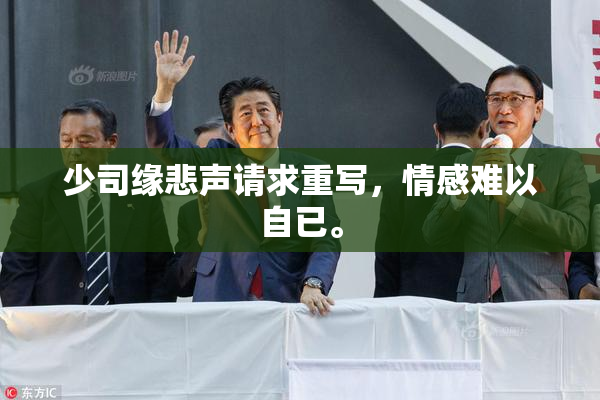 少司缘悲声请求重写，情感难以自已。