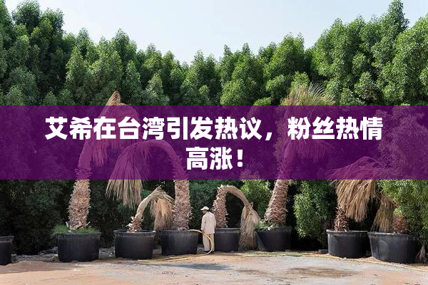 艾希在台湾引发热议，粉丝热情高涨！