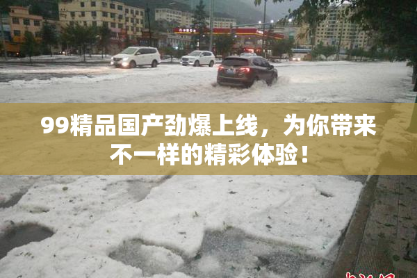 99精品国产劲爆上线，为你带来不一样的精彩体验！