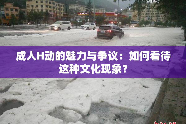 成人H动的魅力与争议：如何看待这种文化现象？