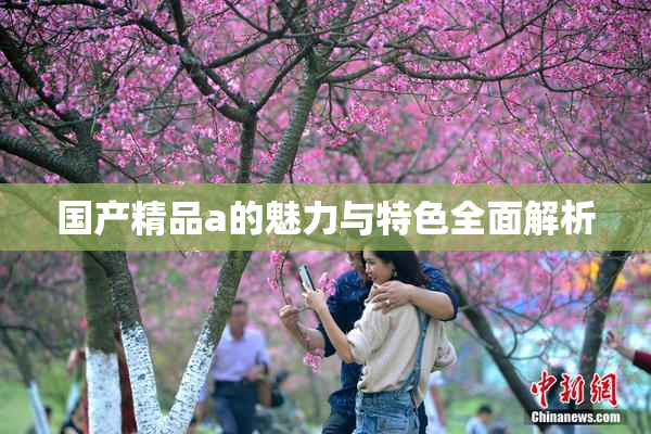国产精品a的魅力与特色全面解析