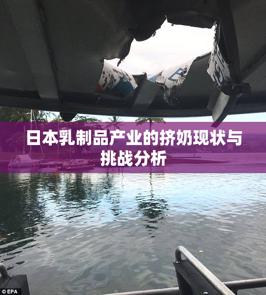 日本乳制品产业的挤奶现状与挑战分析