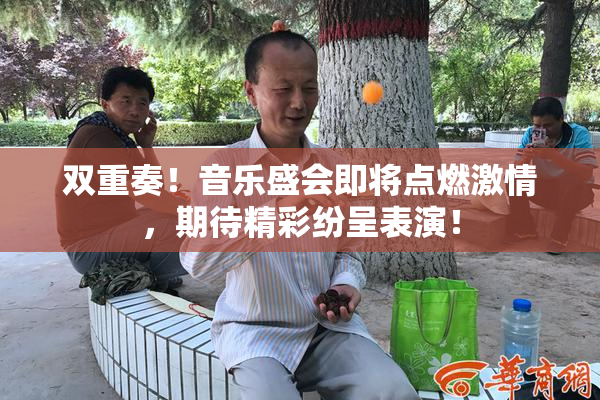 双重奏！音乐盛会即将点燃激情，期待精彩纷呈表演！