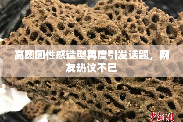 高圆圆性感造型再度引发话题，网友热议不已