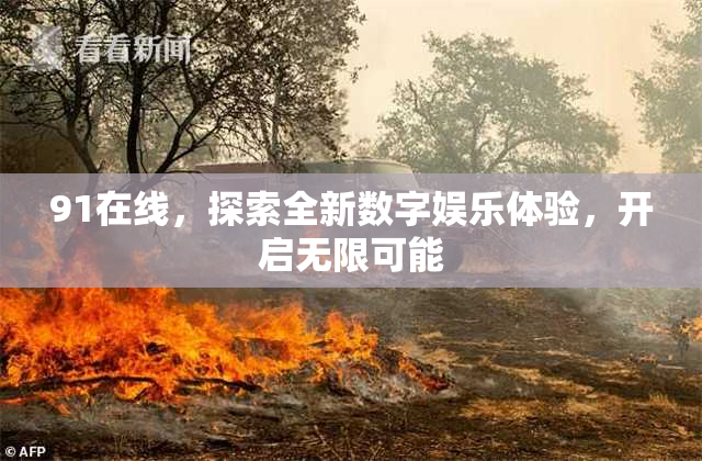 91在线，探索全新数字娱乐体验，开启无限可能