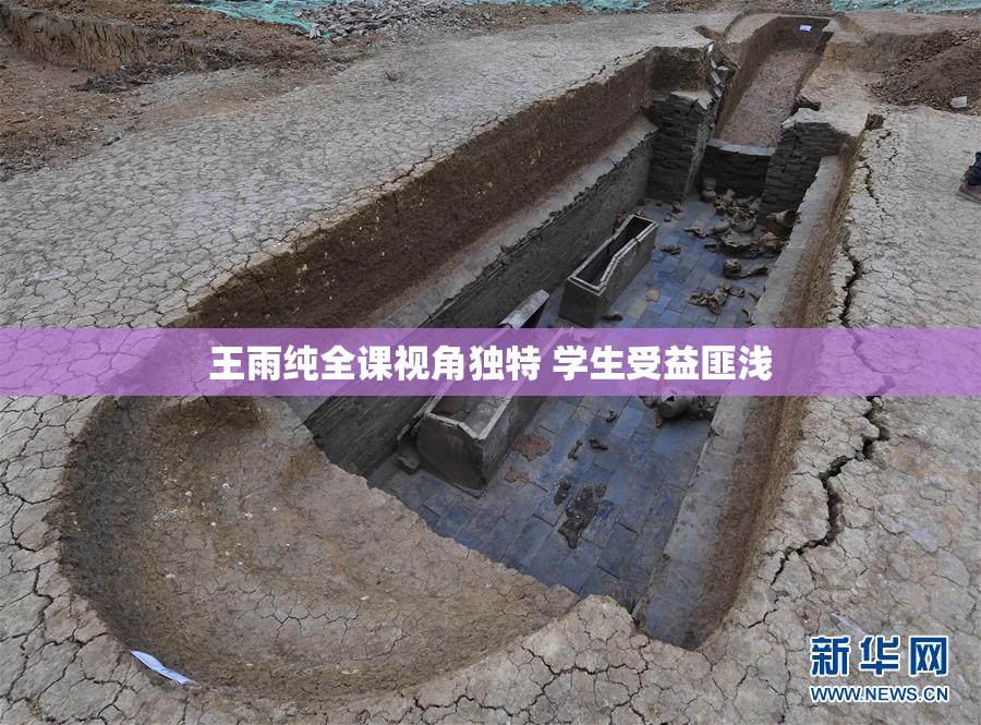 王雨纯全课视角独特 学生受益匪浅