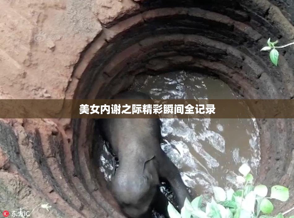 美女内谢之际精彩瞬间全记录