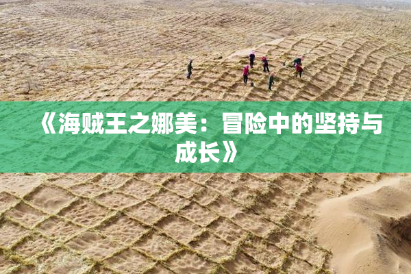 《海贼王之娜美：冒险中的坚持与成长》