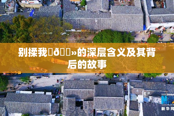别揉我‌🐻的深层含义及其背后的故事