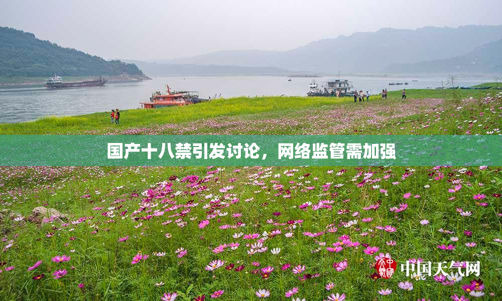 国产十八禁引发讨论，网络监管需加强