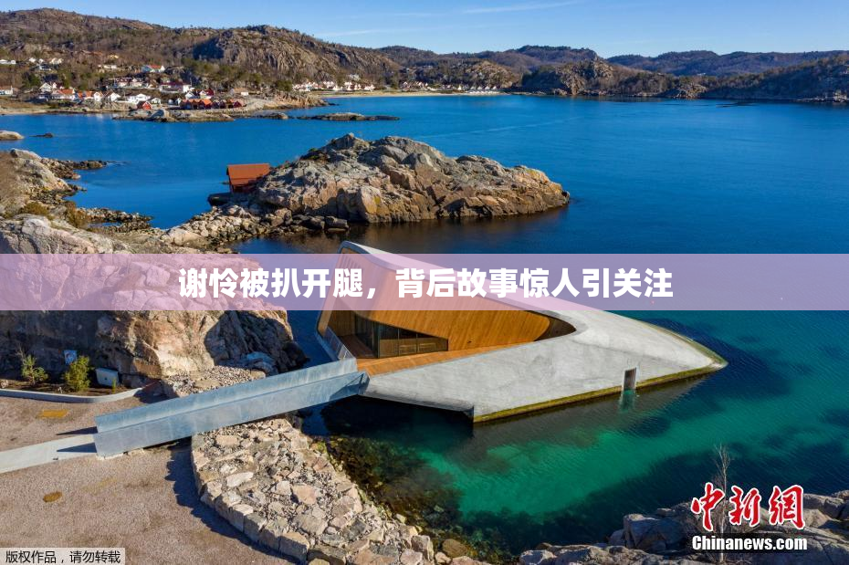 谢怜被扒开腿，背后故事惊人引关注