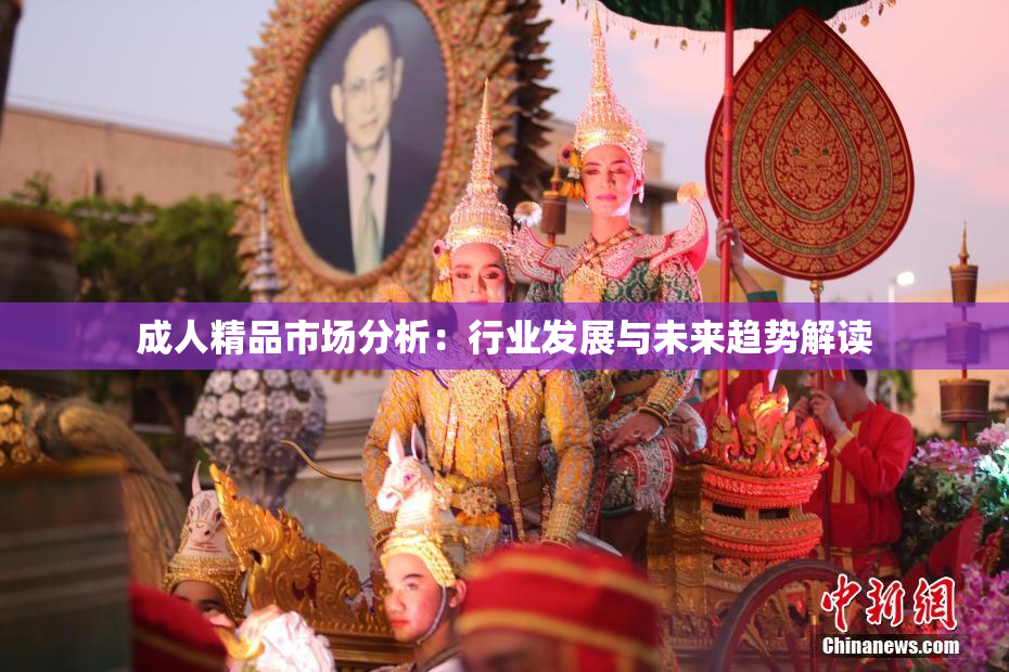 成人精品市场分析：行业发展与未来趋势解读