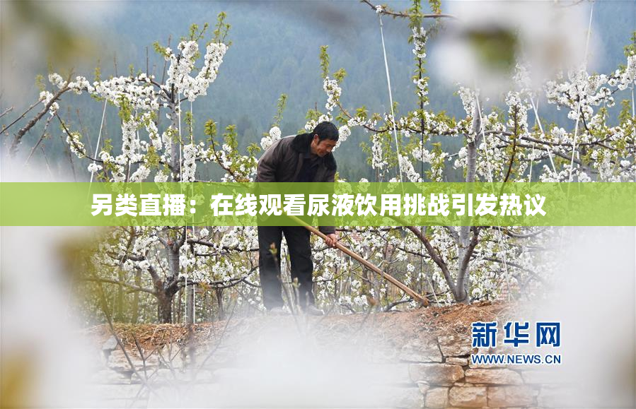 另类直播：在线观看尿液饮用挑战引发热议
