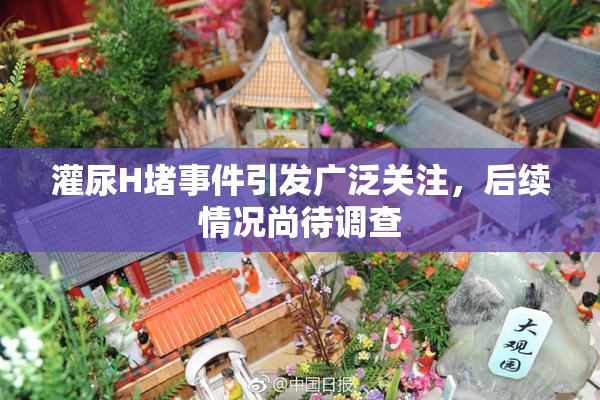 灌尿H堵事件引发广泛关注，后续情况尚待调查