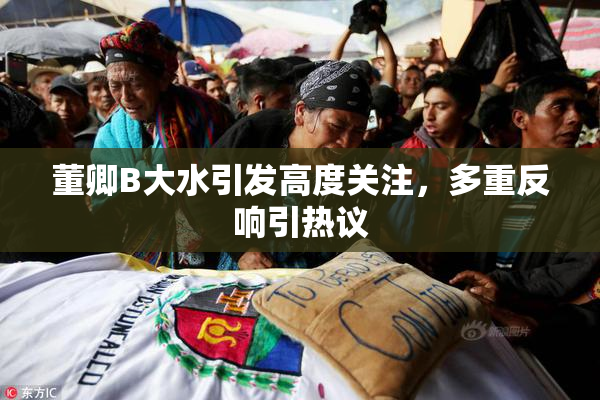 董卿B大水引发高度关注，多重反响引热议