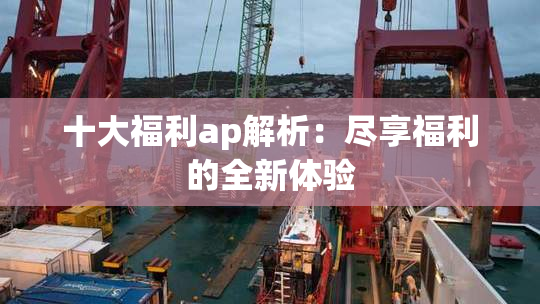 十大福利ap解析：尽享福利的全新体验