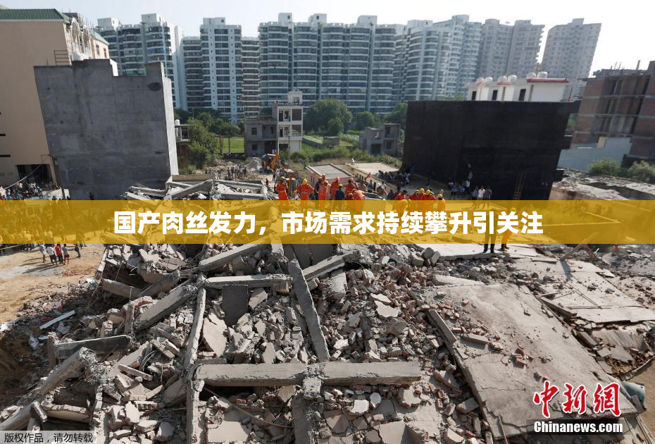 国产肉丝发力，市场需求持续攀升引关注
