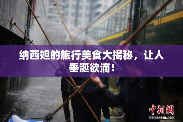 纳西妲的旅行美食大揭秘，让人垂涎欲滴！