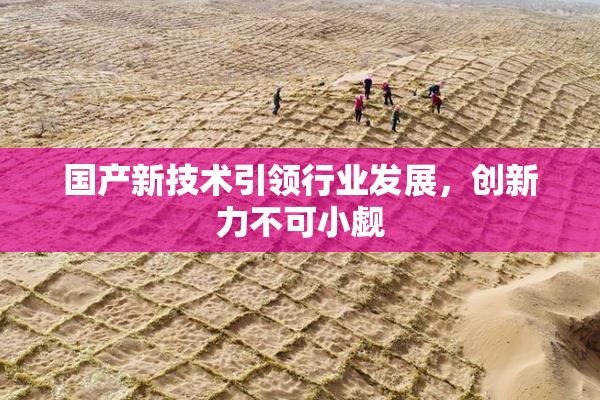国产新技术引领行业发展，创新力不可小觑