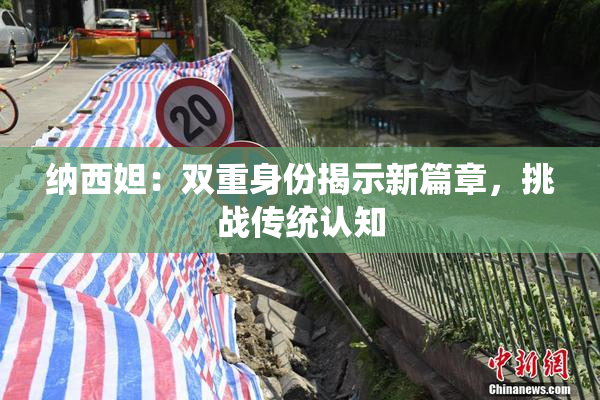 纳西妲：双重身份揭示新篇章，挑战传统认知