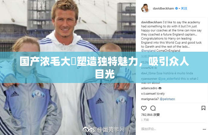 国产浓毛大泬塑造独特魅力，吸引众人目光