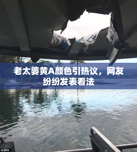 老太婆黄A颜色引热议，网友纷纷发表看法