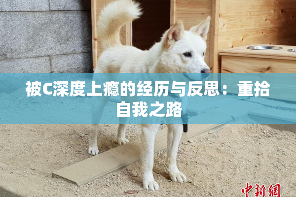 被C深度上瘾的经历与反思：重拾自我之路