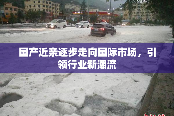 国产近亲逐步走向国际市场，引领行业新潮流
