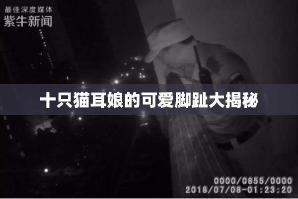 十只猫耳娘的可爱脚趾大揭秘
