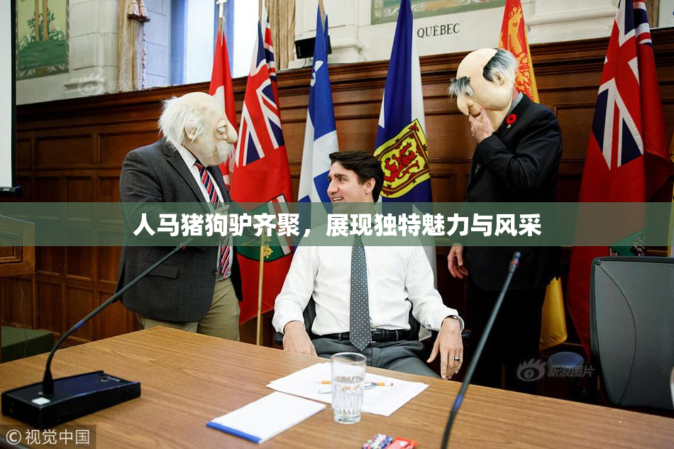 人马猪狗驴齐聚，展现独特魅力与风采